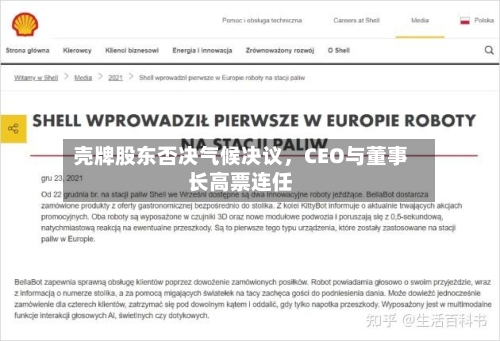 壳牌股东否决气候决议，CEO与董事长高票连任-第2张图片