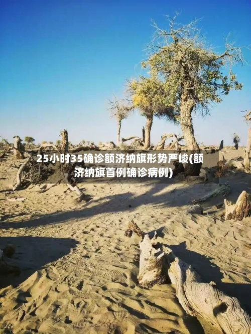 25小时35确诊额济纳旗形势严峻(额济纳旗首例确诊病例)-第2张图片