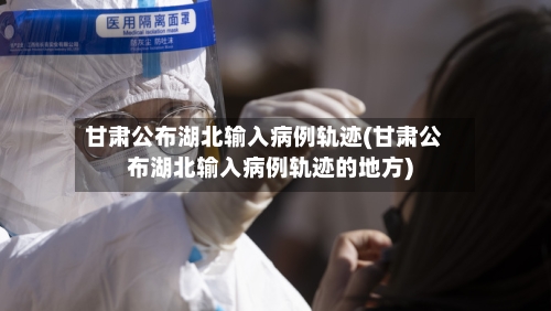 甘肃公布湖北输入病例轨迹(甘肃公布湖北输入病例轨迹的地方)-第2张图片