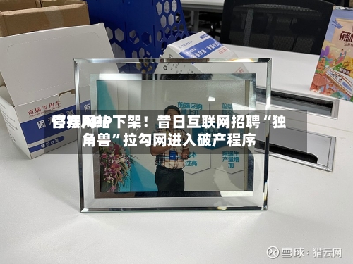 官方网站停摆APP下架！昔日互联网招聘“独角兽”拉勾网进入破产程序-第2张图片