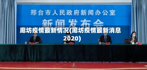 廊坊疫情最新情况(廊坊疫情最新消息2020)-第3张图片