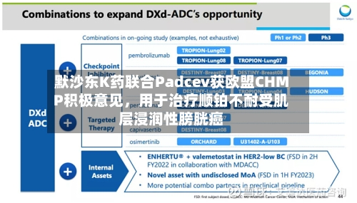 默沙东K药联合Padcev获欧盟CHMP积极意见，用于治疗顺铂不耐受肌层浸润性膀胱癌-第2张图片