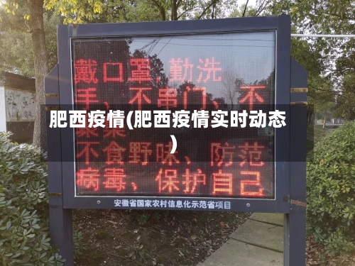 肥西疫情(肥西疫情实时动态)