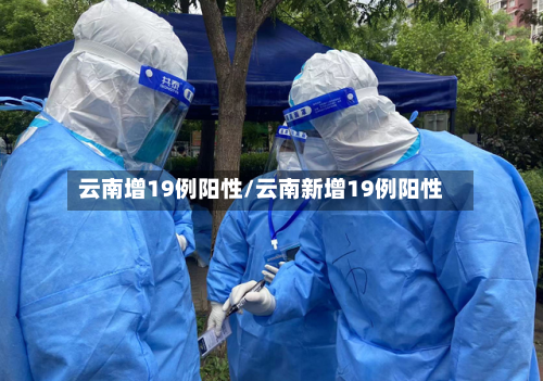 云南增19例阳性/云南新增19例阳性