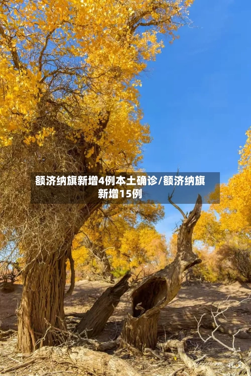 额济纳旗新增4例本土确诊/额济纳旗新增15例-第2张图片