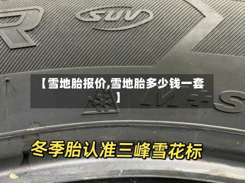 【雪地胎报价,雪地胎多少钱一套】-第2张图片