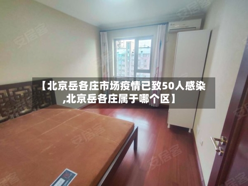 【北京岳各庄市场疫情已致50人感染,北京岳各庄属于哪个区】-第2张图片