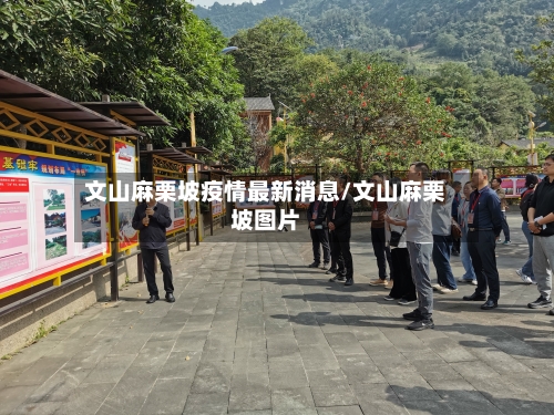 文山麻栗坡疫情最新消息/文山麻栗坡图片-第3张图片