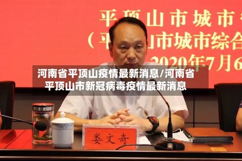河南省平顶山疫情最新消息/河南省平顶山市新冠病毒疫情最新消息-第3张图片